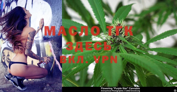 спиды Новодвинск