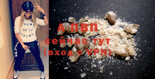 ECSTASY Новозыбков