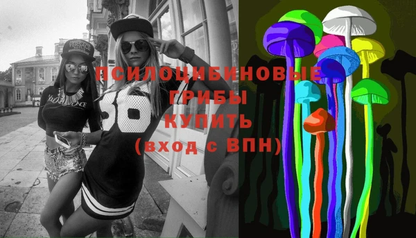 ECSTASY Новозыбков