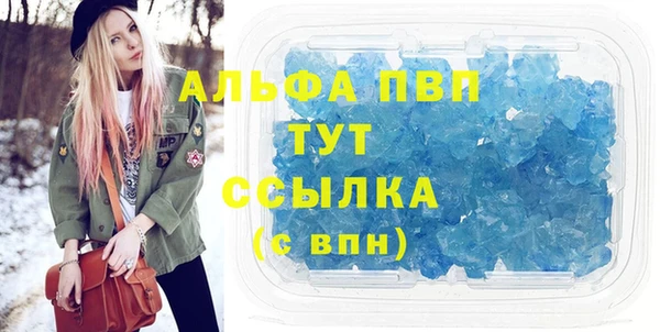 спиды Щигры