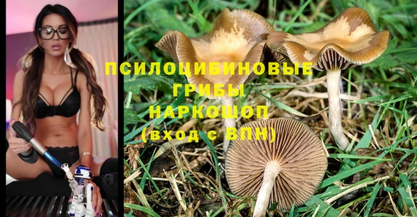 ECSTASY Новозыбков