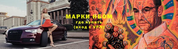 спиды Новодвинск