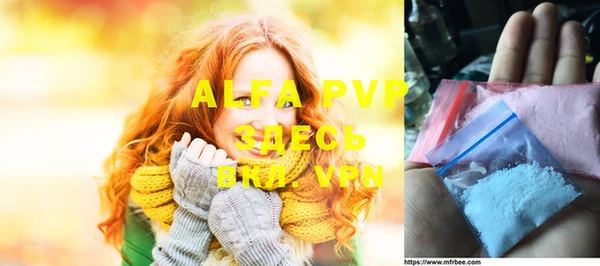 спиды Новодвинск