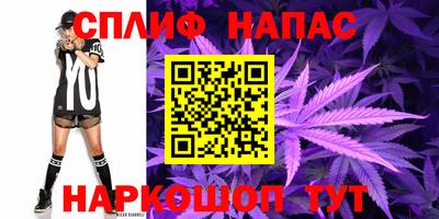 бошки Бийск