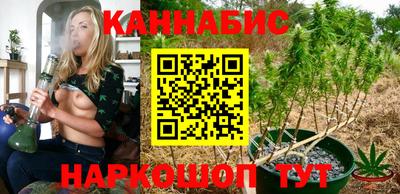 сатива Беслан