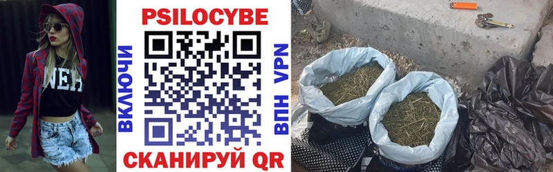 Псилоцибиновые грибы Psilocybe  магазин продажи   Зерноград 