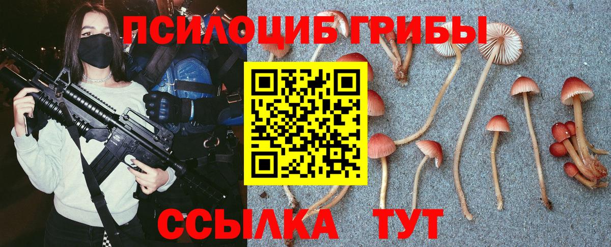 Псилоцибиновые грибы мицелий  Зерноград 