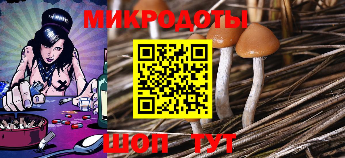 Псилоцибиновые грибы мицелий Зерноград